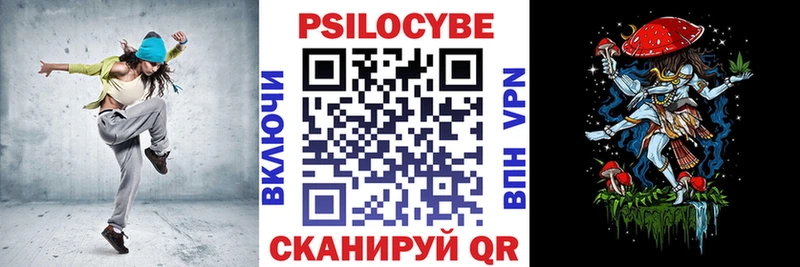 Псилоцибиновые грибы Cubensis  Янаул 